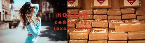 хмурый Елизово