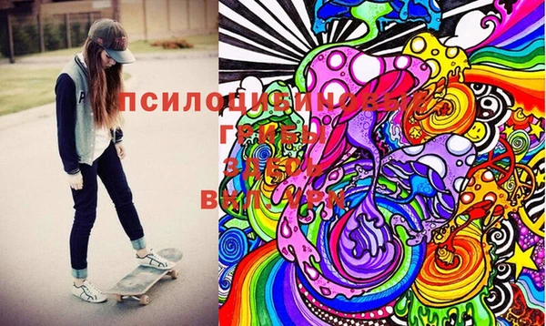хмурый Елизово