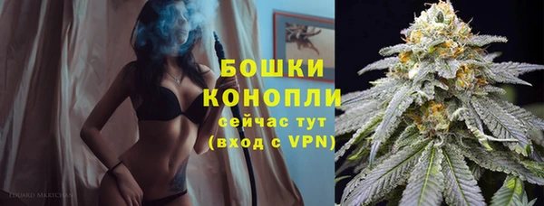 кокс Ельня