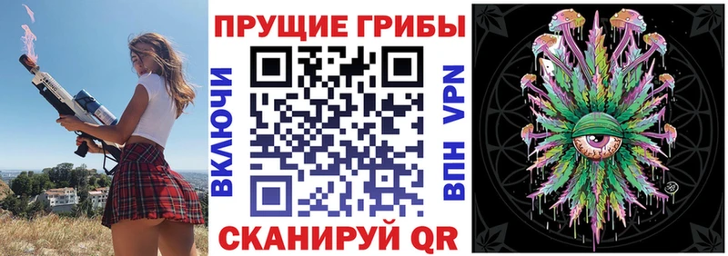 магазин наркотиков Салаир Псилоцибиновые грибы ЛСД