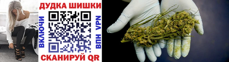 OMG ONION Салаир Бошки Шишки планчик